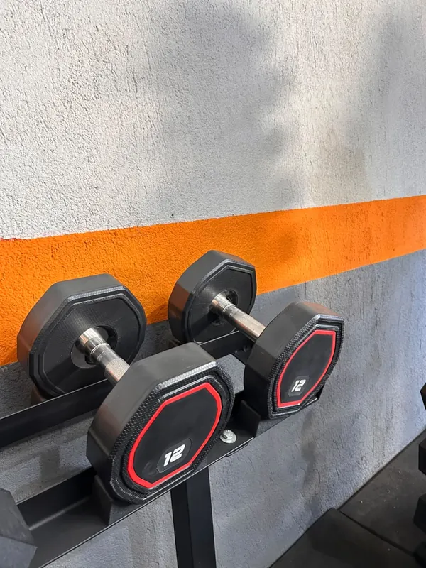 Halteres emborrachados MAXFORCE na loja