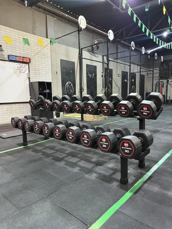 Fila de dumbbells emborrachados Max Force de 12 a 30 kg em box de crossfit